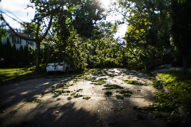 tropical storm