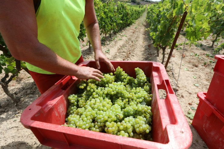 French wine growers estimate they have lost some 1.5 billion euros due to the closure of bars, restaurants, parties and a months-long halt to tourism