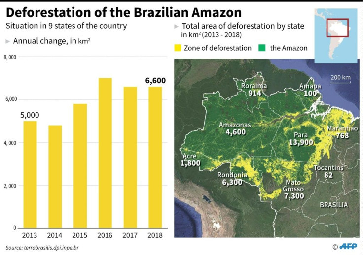 Progression of deforestation in the Brazilian Amazon, with total area by state up to 2018.
