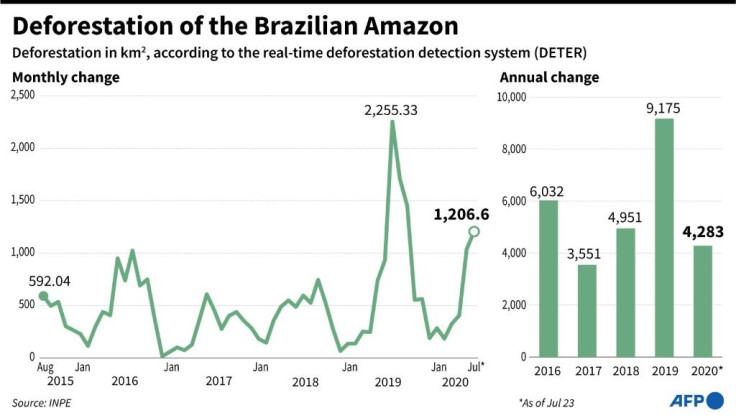 Deforestation of the Brazilian Amazon from August 2015 to July 2020