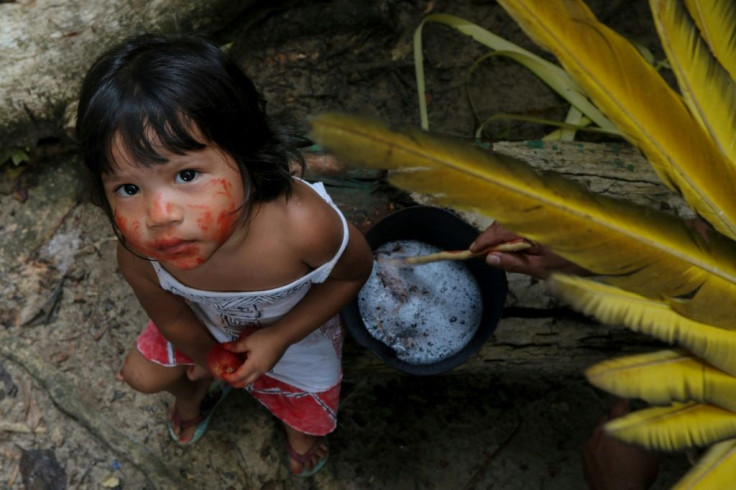 A Satere Mawe indigenous child sits beside an man preparing medicinal herbs to treat people with symptoms of COVID-19