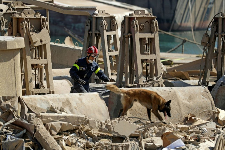 A French rescue worker leads a dog as they search for survivors at Beirut port