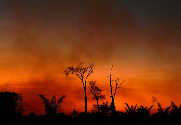 Smoke rises from a burnt area of land in the Xingu Indigenous Park, Mato Grosso state, Brazil, in the Amazon basin, on August 6, 2020