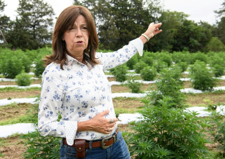 Farmer Susan Corbett has installed security cameras to watch over her hemp crop in rural Virginia after it was targeted by thieves