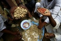 Sudanese farmers display their harvest of peanuts, a key crop hit by a government export ban
