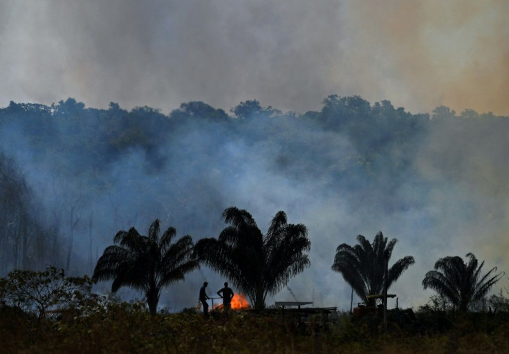 Fires in the Amazon are sparked by humans to clear land illegally, experts say