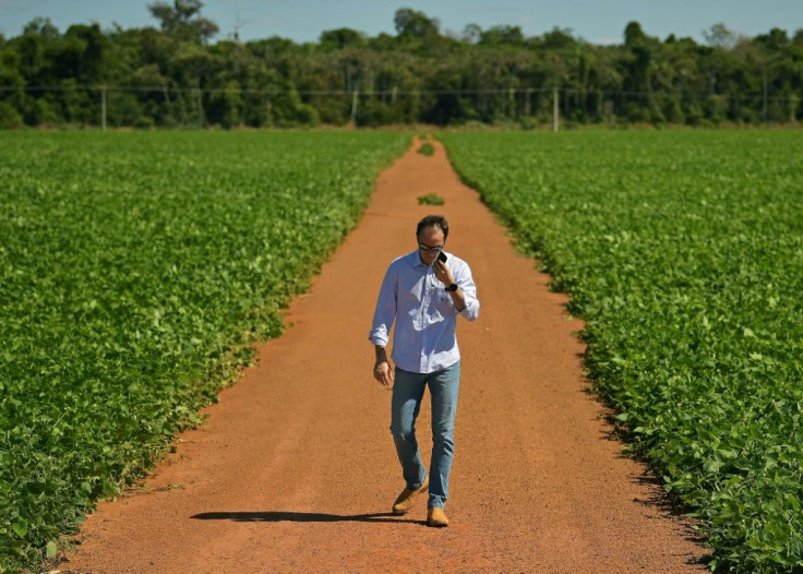 Rodrigo Pozzobon walks in a soybean field on his property in Vera, in Brazil's Mato Grosso state -- business is booming thanks to surging Chinese demand