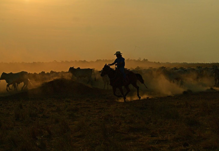 Millions of hectares of already deforested land in Brazil's Mato Grosso state being used to pasture livestock could be converted to crop land, agricultural engineer Rodrigo Pozzobon says