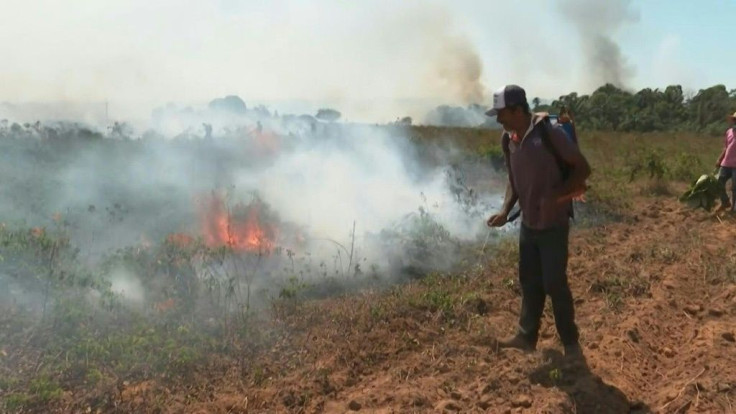 Using fires to clear farmland is banned in Brazil, but the practice is still occurring, as seen here near the town of Sinop