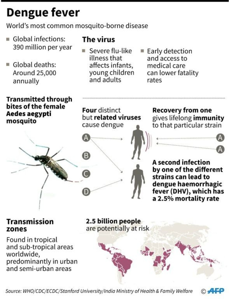 Dengue fever is the world's most common mosquito-borne virus