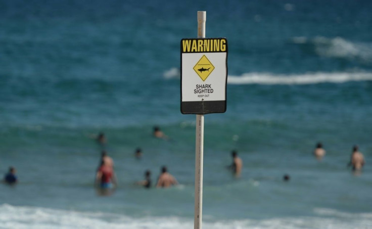 Australia has one of the world's highest incidences of shark attacks