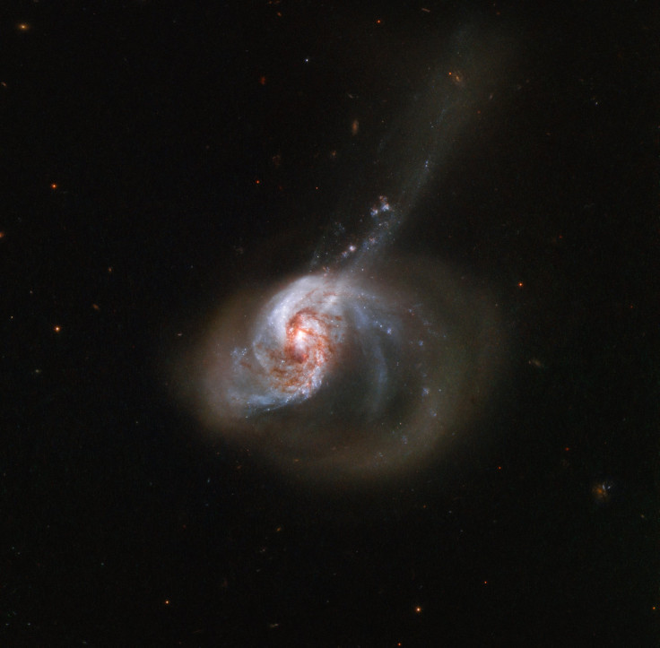 NGC 1614