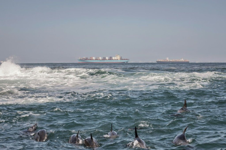 Conservationists have raised the alarm about the long-term impact of bunkering in a marine biodiversity hotspot