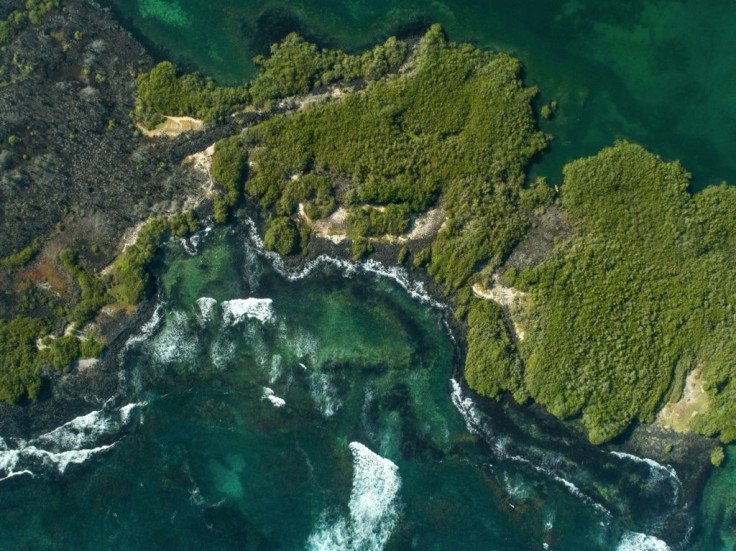 Scientists have probed deep-sea ecosystems in the Galapagos, going to depths of up to 3,400 meters using state-of-the-art Remote Operated Vehicles