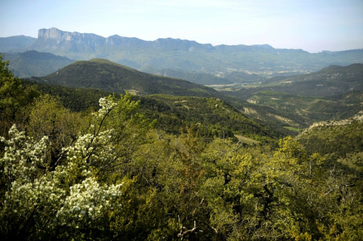 One of Europe's biggest experiments in rewilding is taking place at the Grand Barry nature reserve in southeast France