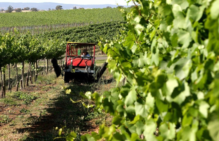 Australian wine exports to China hit US$900 million last year