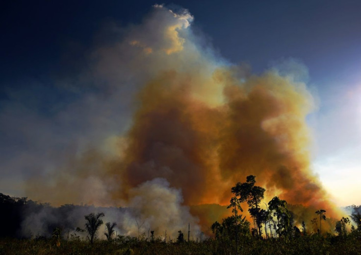 Brazilian President Jair Bolsonaro is accused of encouraging people to start more blazes with his gung-ho rhetoric on developing the Amazon