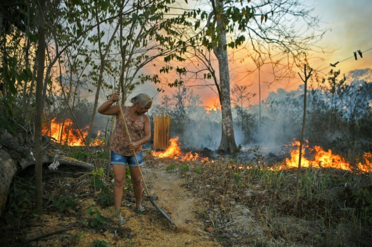 Idelia Lima Lisboa, wife of a farmer who set fire to rainforest around his property, tries to clear a path of dry leaves as the fire approaches their house
