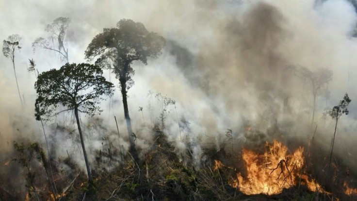 An illegal fire set by a farmer to clear his land spreads through the Amazon rainforest in Para state