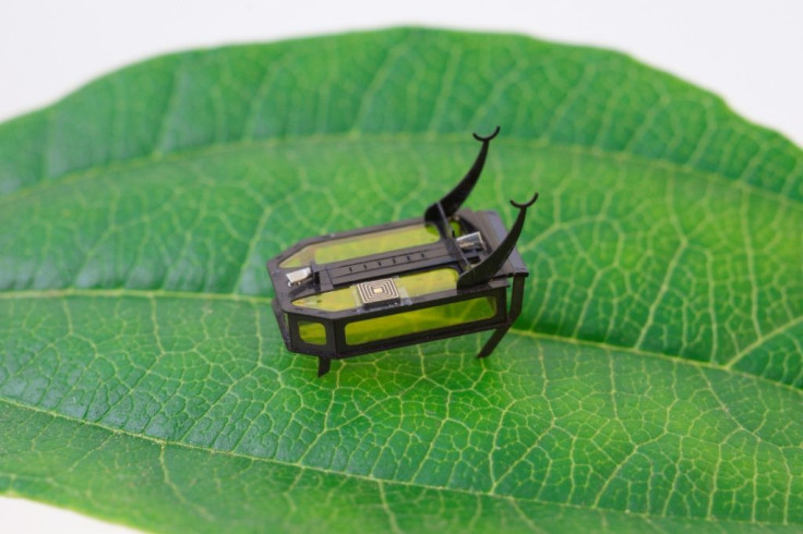 A team at the University of Southern California has built an 88-milligram "RoBeetle" that runs on methanol and uses an artificial muscle system to crawl, climb, and carry loads on its back for up to two hours
