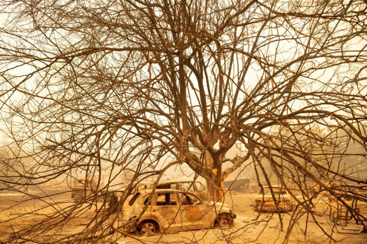 Burned out vehicles sit under a burned tree at a residence in Vacaville, California during the LNU Lightning Complex fire on August 19, 2020
