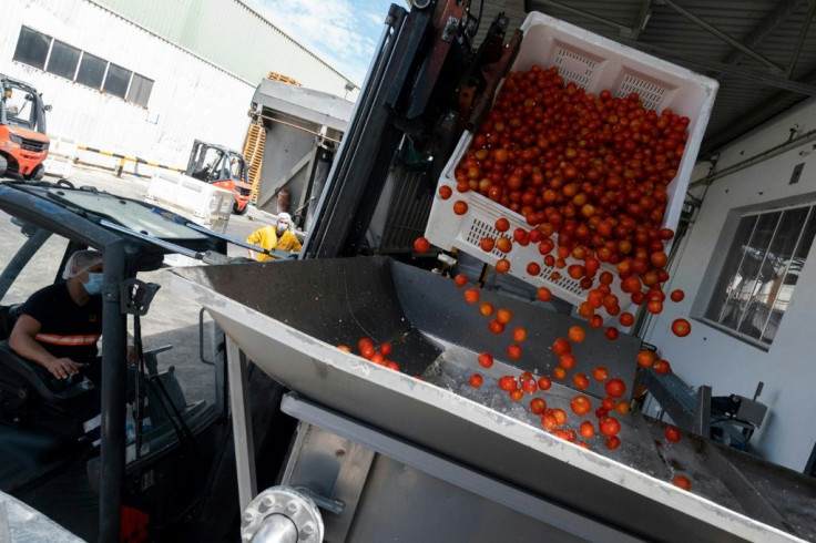 To enter markets abroad, Spain's top three gazpacho producers have tailored their recipes to foreign tastes