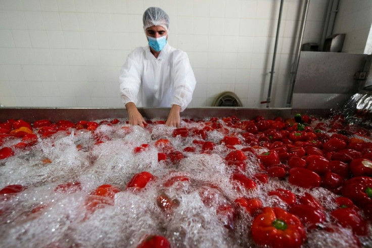 Spain's big three gazpacho producers have sought to expand their range by developing modern variations of the chilled soup featuring ingredients like rosemary or strawberries, as well as launching brands that use organic vegetables