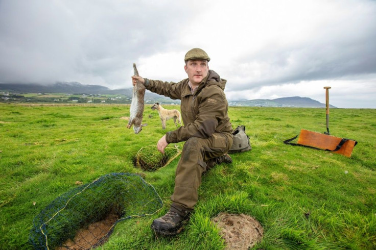 McGonigal says nobody loves rabbits more than him but stresses the need for balance in the countryside ecosystem