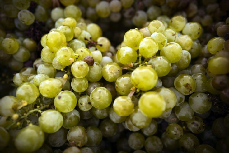 Winegrowers are also feeling the economic fallout from the coronavirus pandemic