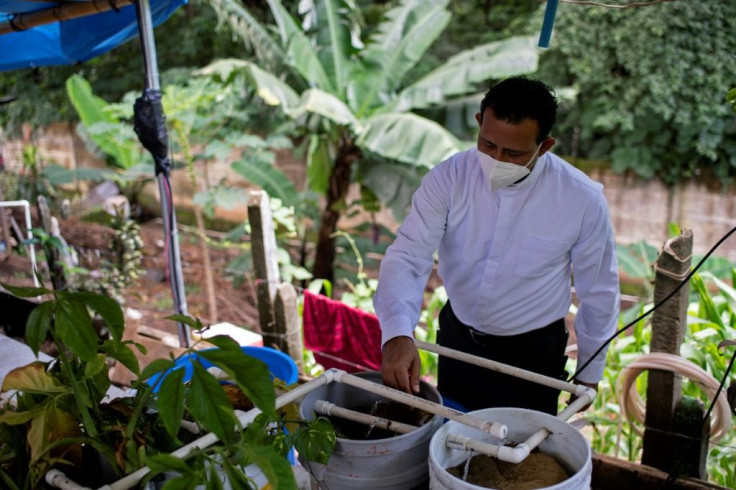 Priest Moises Rutilio Moran checks the water filters in a pond where he breeds fish at his church in Santa Ana, El Salvador