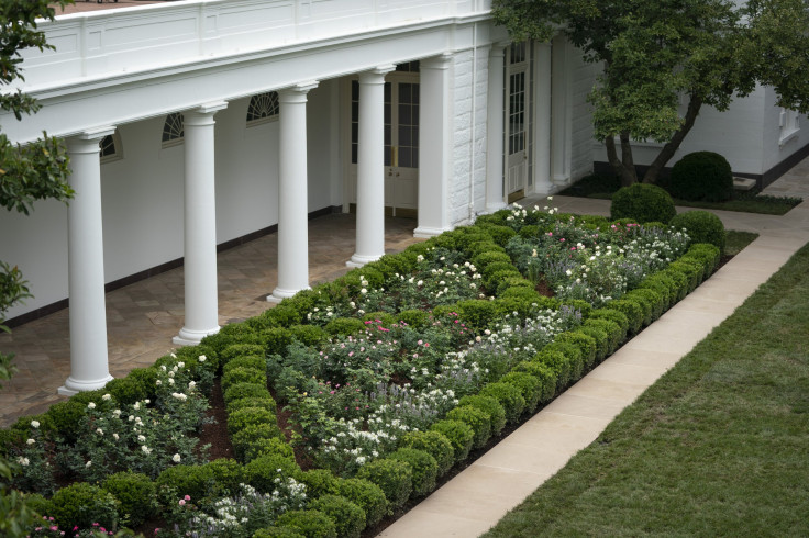 White House Rose Garden 