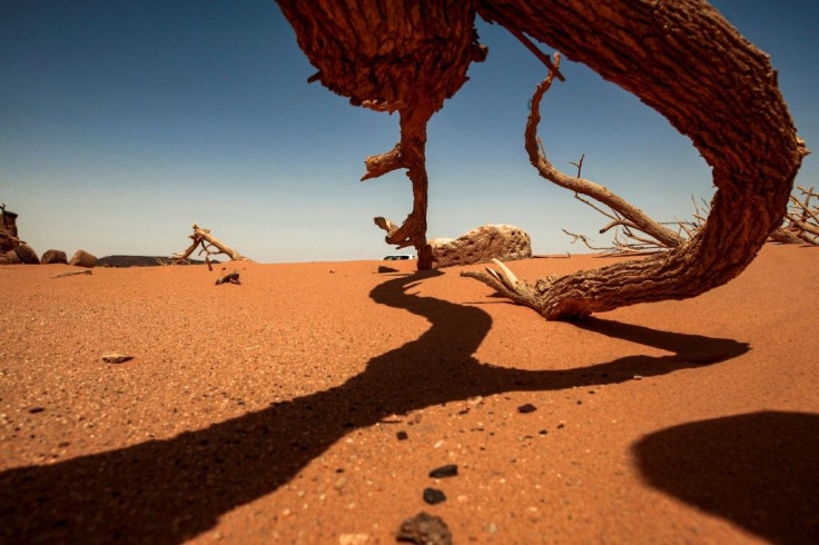 Remote archaeological sites in Sudan are being targeted by people believing they can find buried gold beneath the sand