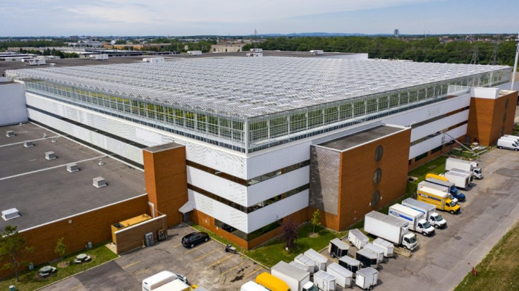 Lufa Farms just opened what it says is the world's largest commercial rooftop greenhouse, seen in this aerial photo in Montreal