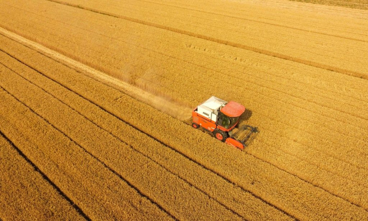 Officials have repeatedly said 'all-is-well' and promise a bumper 2020 grain crop there are growing concerns about a food shortfall