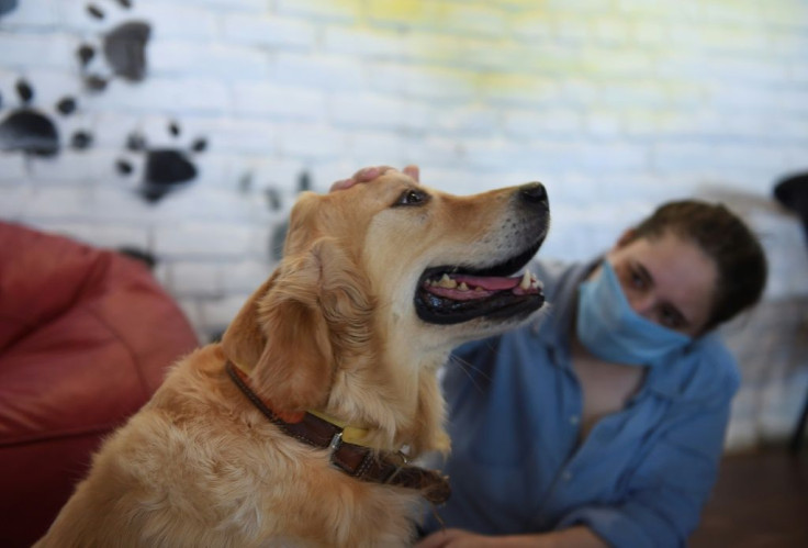 There is a growing number of people across India adopting dogs to cope with the loneliness inflicted by the pandemic