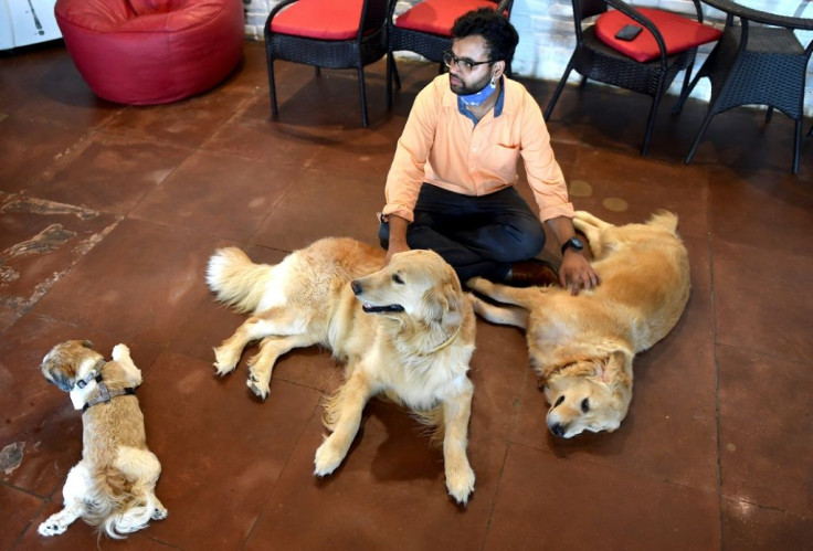 As virus case numbers grew in India and more people were stuck at home, early fears about pets being potential virus carriers turned into a search for friendship from four-legged creatures