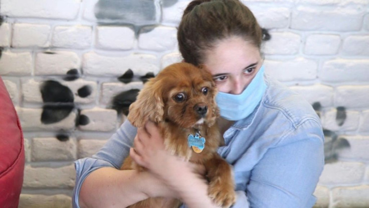 With the world marking International Dog Day on Wednesday, we meet some of the growing number of people across India to have adopted man's best friend to cope with the loneliness inflicted by the coronavirus pandemic.