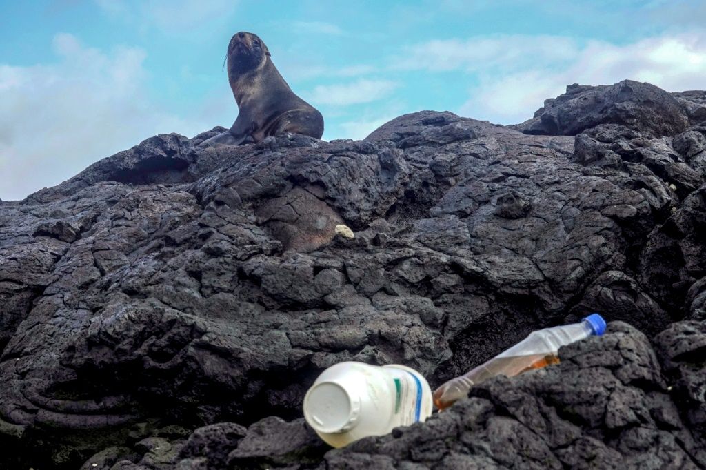 Scientists Use Satellite Technology To Spot Plastic Pollution On ...