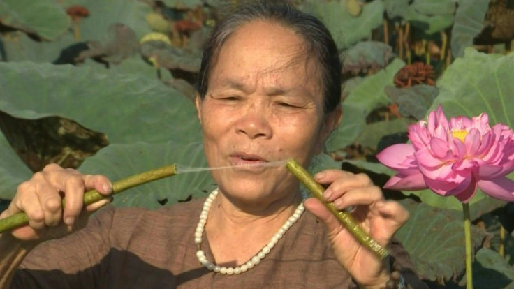 Vietnamese weaver Phan Thi Thuan hitches up her trousers as she wades into a lotus paddy to gather the stems needed to make a rare and highly sought-after thread.