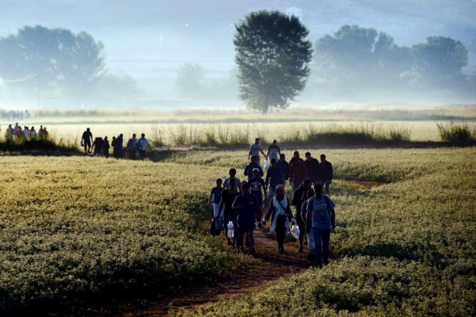Syrian migrants walk through a field to cross the Greece-Macedonia border on August 29, 2015 on the long Balkan route to Western Europe
