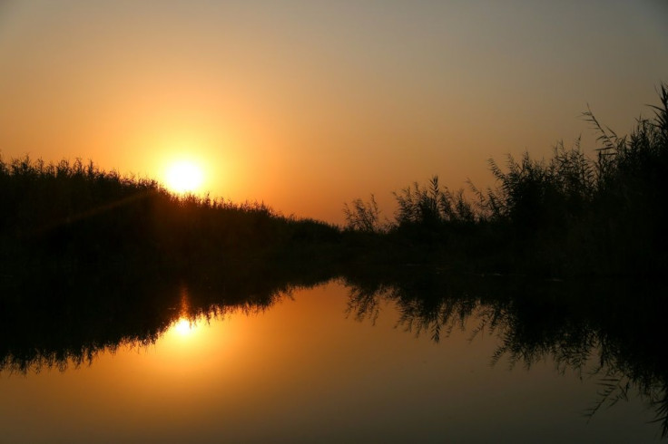 Fishing for precious barbels in Iraq's majestic river marshes is a livelihood that has been passed from generation to generation