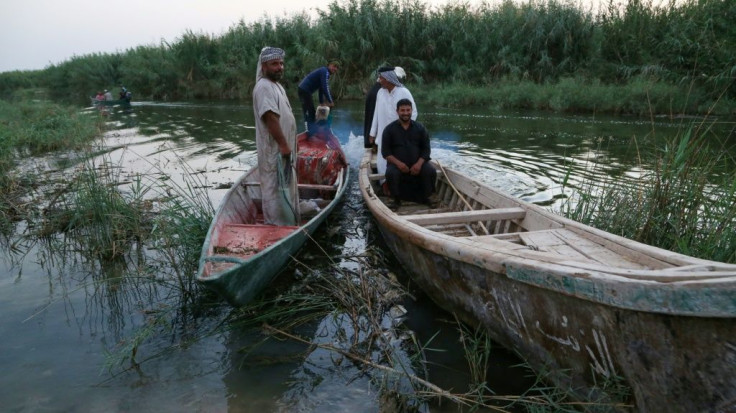 Iraqis allege that their fish have been deliberately poisoned by vengeful importers who have seen their market share drop this year