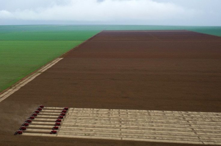 Combine harvesters crop soybean during in Mato Grosso state, Brazil
