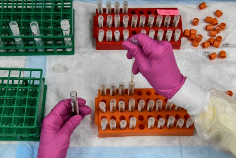 A lab technician sorts blood samples for a COVID-19 vaccine study at the Research Centers of America in Hollywood, Florida.