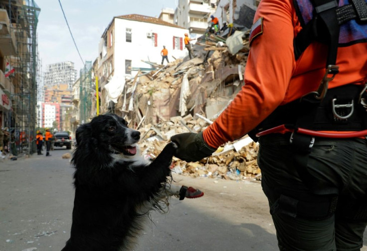 Rescue workers resume their search for possible survivors after a Chilean rescue worker responded to a scent from the rubble of a collapsed building in Gemmayzeh