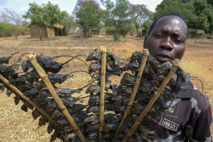 Seasoned and cooked to a crisp, mice are sold at street stalls and markets across the southeast African country.