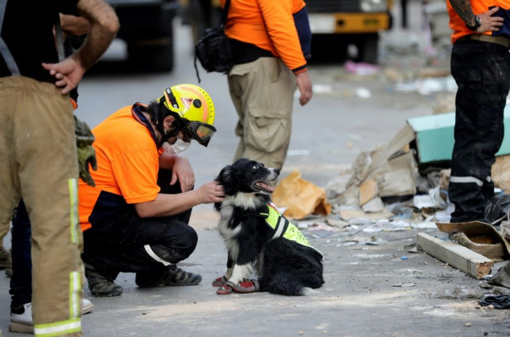 A Chilean rescue worker pets a sniffer dog as others dig through the rubble of a badly damaged building in Lebanon's capital Beirut