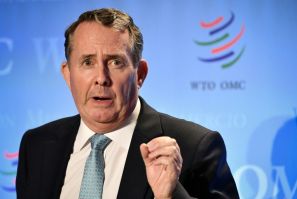 Liam Fox, candidate to head the WTO, describe its selection process as "somewhere between choosing a pope and the Eurovision Song Contest"