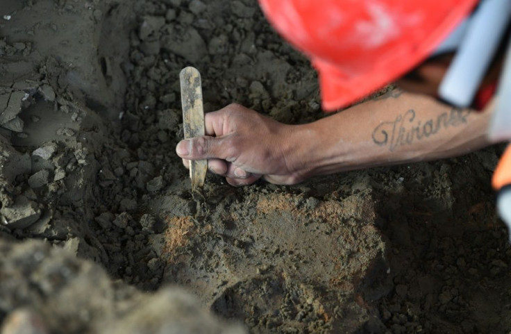 The remains of prehistoric camels, horses, bison, fish, birds, antelopes and rodents have also been found at the site