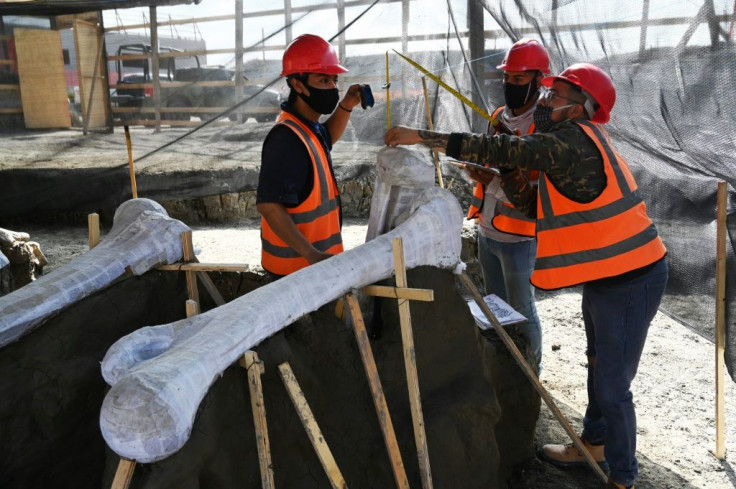 The authorities plan to put the ancient remains on display at a museum at the airport